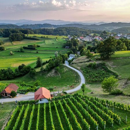 Vineyard Cottage Krivic Trebelno Kültér fotó