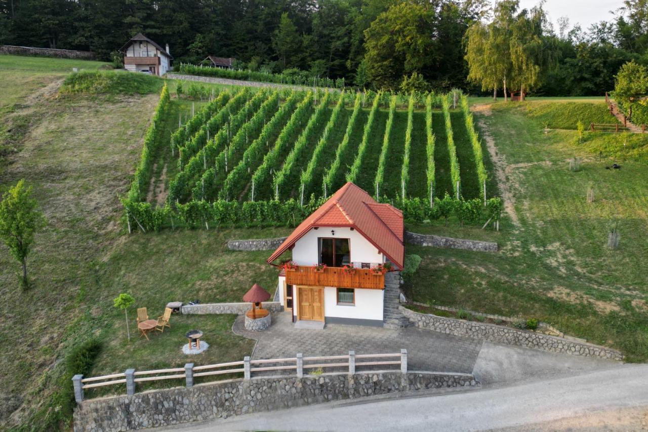 Vineyard Cottage Krivic Trebelno Kültér fotó